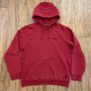 Patagonia Fitz Roy Horizons graphic hoodie